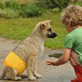 KUTKUT 2 Pcs Male Dog Diapers, Reusable Belly Bands for Small Male Dogs Wraps Highly Absorbent Diapers for Dog, Waterproof Super Absorbent Puppy Wraps Cover Sanitary Nappies Pants - kutkutsty